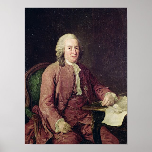 Affiches Portrait de Carl von Linnaeus (Devant)