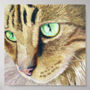 Affiches Portrait de chat