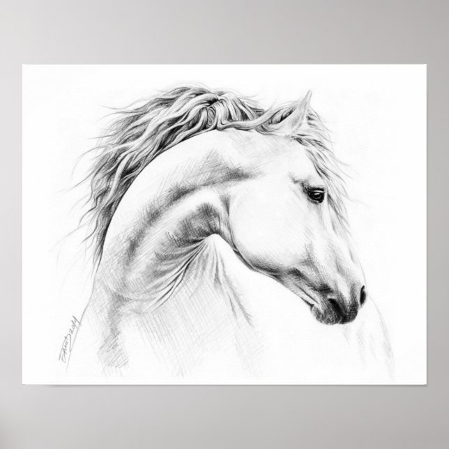 Affiches Portrait de cheval Crayon dessin d'art équestre (Devant)