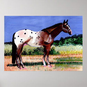 Affiches Portrait de cheval d'Appaloosa