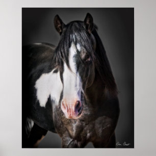 Affiches Portrait de cheval II