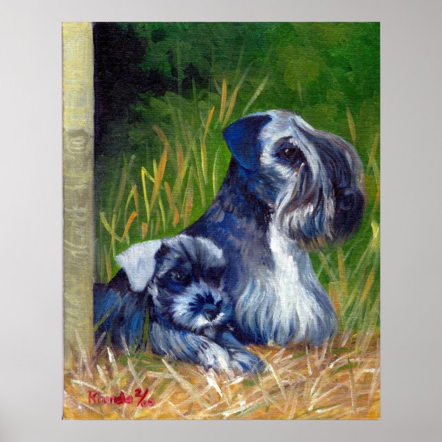 Affiches Portrait de Chien Cesky Terrier (Devant)
