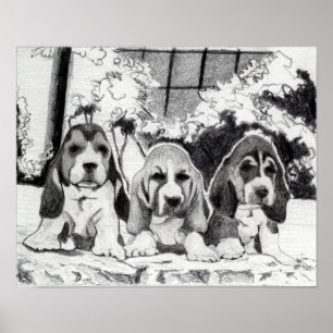 Affiches Portrait de chien de chiots de Basset Hound