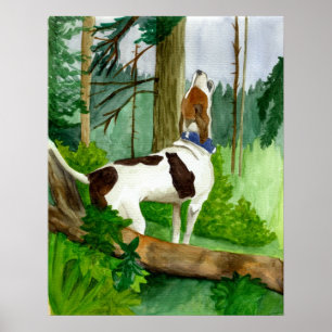 Affiches Portrait de chien de Coonhound de marcheur de