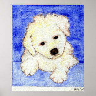 Affiches Portrait de chiot de Bichon Frise