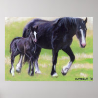 Portrait de Clydesdale Mare et Foal Horse