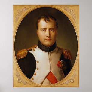 Affiches Portrait de napoléon dans l'uniforme