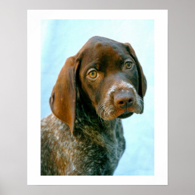 Affiches Portrait d'un chien (Devant)