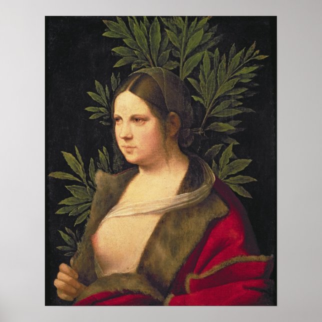 Affiches Portrait d'une jeune femme, 1506 (Devant)