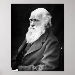 Affiches Portrait Photo de Charles Darwin