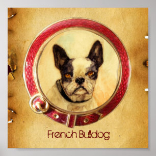 Affiches PORTRAITS MINIATURES VICTORIENS Bouledogue Françai