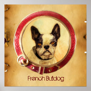 Affiches PORTRAITS MINIATURES VICTORIENS Bouledogue Françai