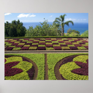 Affiches Portugal, île de Madère, Funchal. Botanique