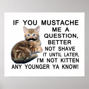 Affiches Poser Une Question Au Kitten Avec Une Moustache
