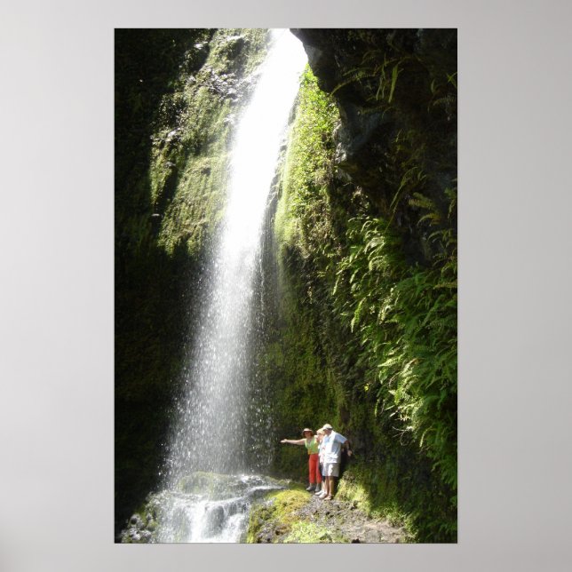 Affiches Poser vos dragons (Devant)