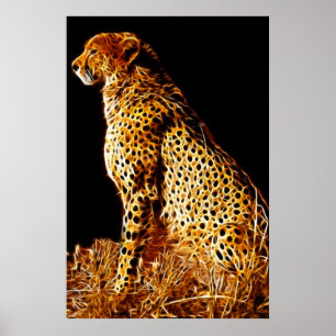 Affiches Position de Cheetahs