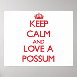 Affiches Possum