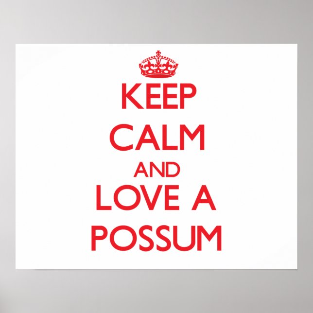Affiches Possum (Devant)