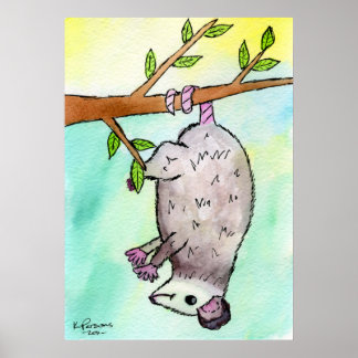 Affiches Possum Danglin'