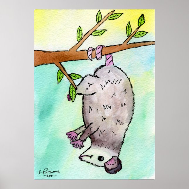 Affiches Possum Danglin' (Devant)