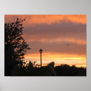 Affiches Poste d'ampoule et oiseaux