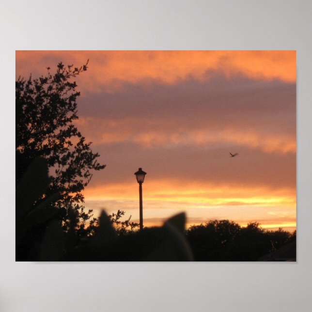 Affiches Poste d'ampoule et oiseaux (Devant)