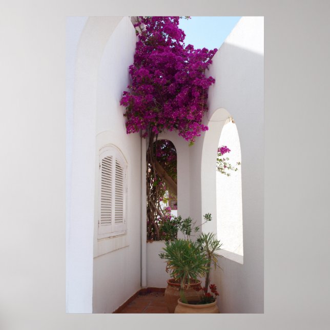 Affiches Póster casa mediterránea (Devant)