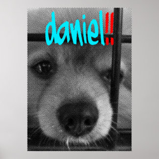 Affiches poster_daniel ! !
