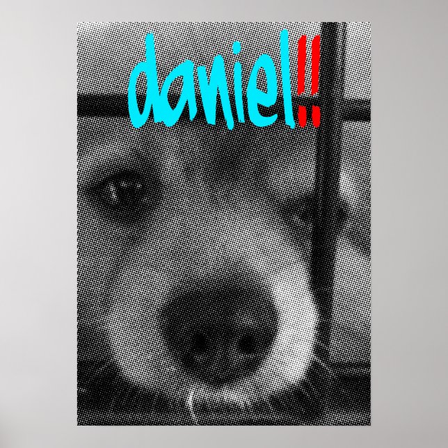 Affiches poster_daniel ! ! (Devant)