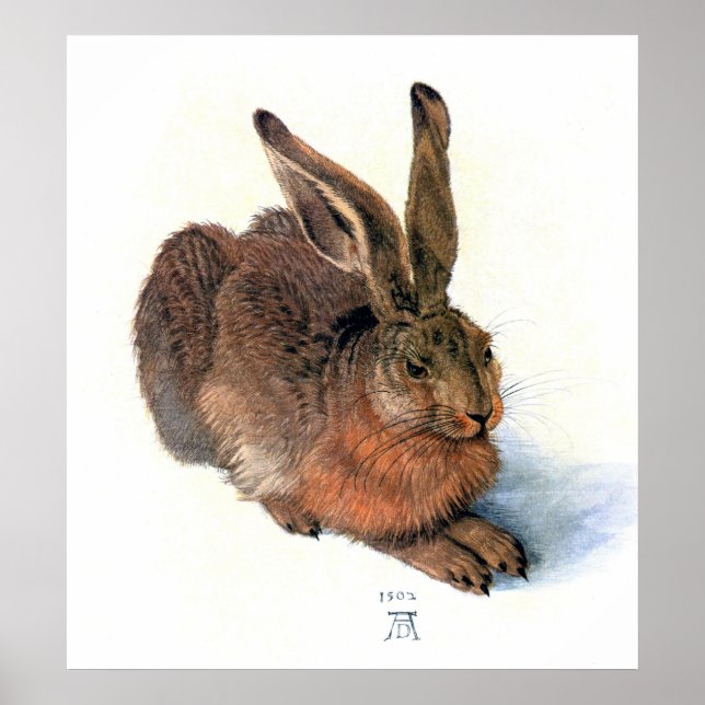 Affiches Poster/Impression : Le lapin (Devant)