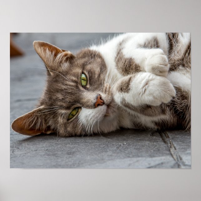 Affiches Poster/Imprimer (Devant)