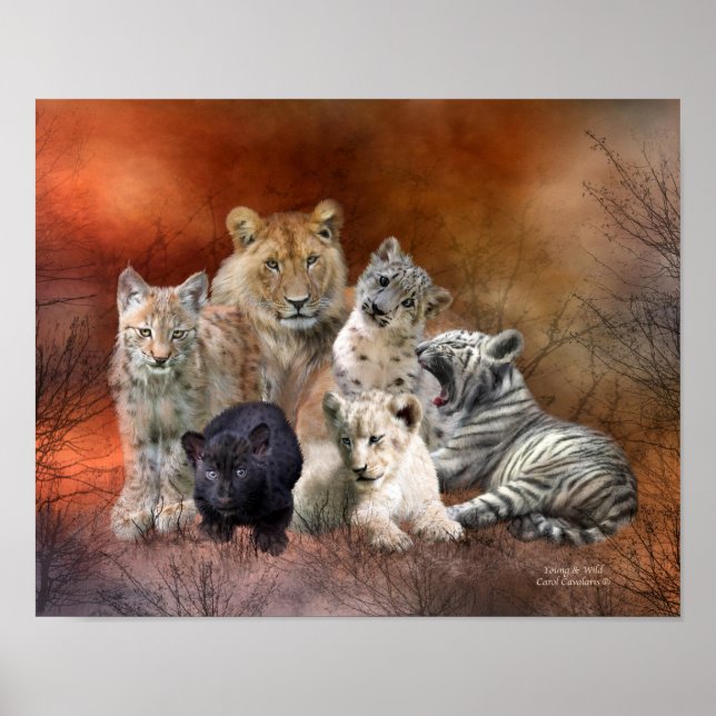 Affiches Poster/Imprimer D'Art Jeune Et Sauvage (Devant)