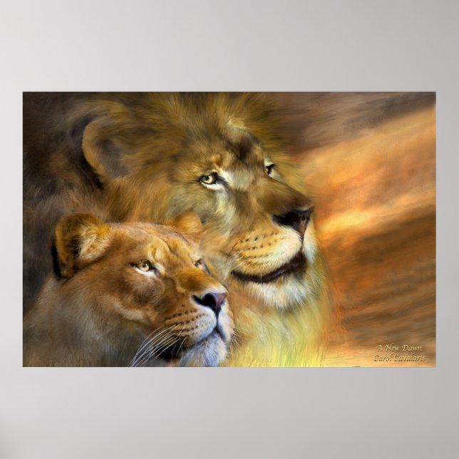 Affiches Poster/Imprimer Une Nouvelle Aube (Devant)