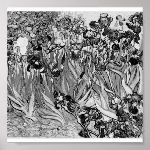 Affiches Poster-Monochrome-Van Gogh-Irises