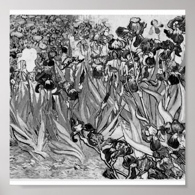 Affiches Poster-Monochrome-Van Gogh-Irises (Devant)