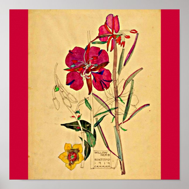 Affiches Poster-Vintage-Charles Rennie Mackintosh 28 (Devant)