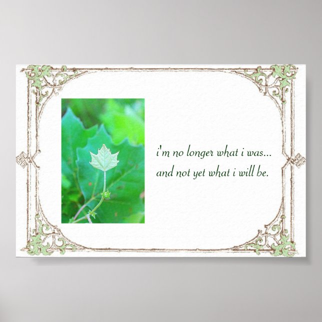 Affiches Potentiel (Devant)