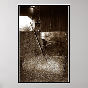 Affiches Poule et fourche