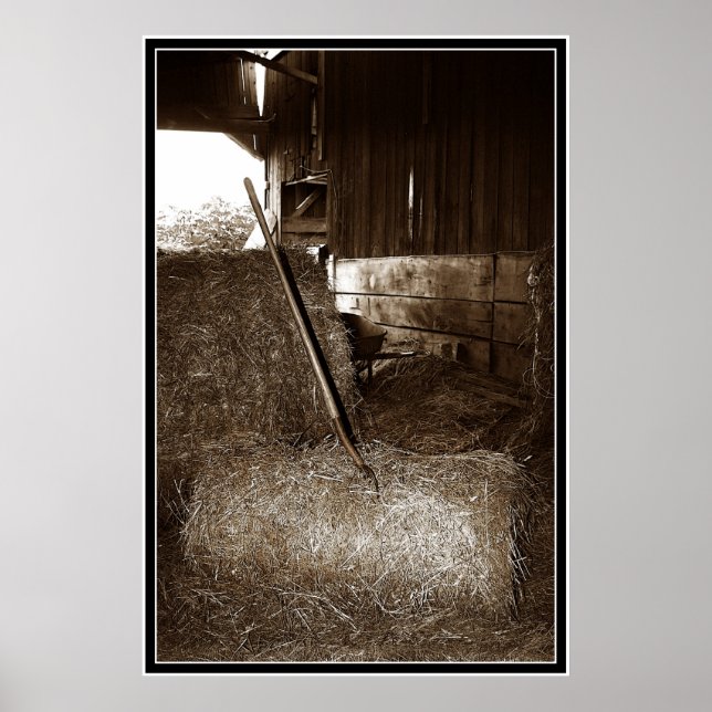 Affiches Poule et fourche (Devant)