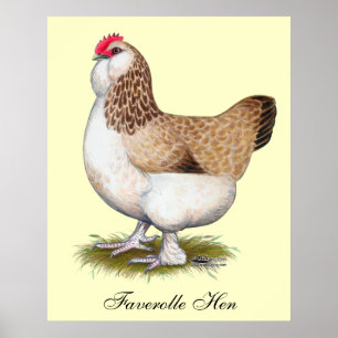 Affiches Poule saumonée de Faverolle