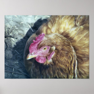 AFFICHES POULET