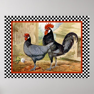 Affiches Poulets andalous dans la ferme