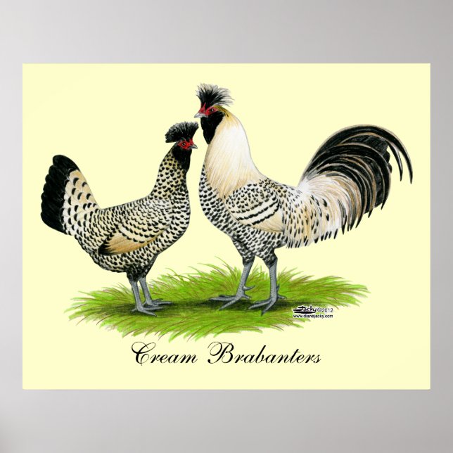 Affiches Poulets de crème Brabanter (Devant)