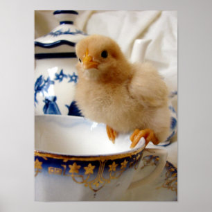 Affiches Poulette au thé