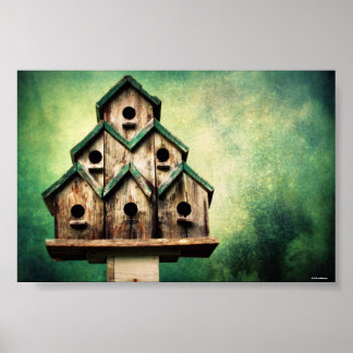 Affiches Pour les oiseaux