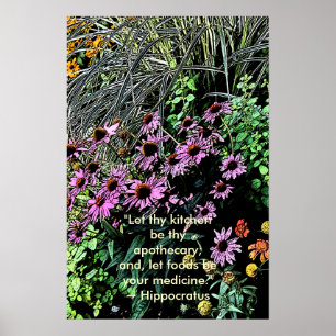 Affiches pourpres de Coneflower