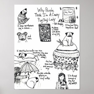 Affiches Pourquoi les gens me pensent suis Madame folle de