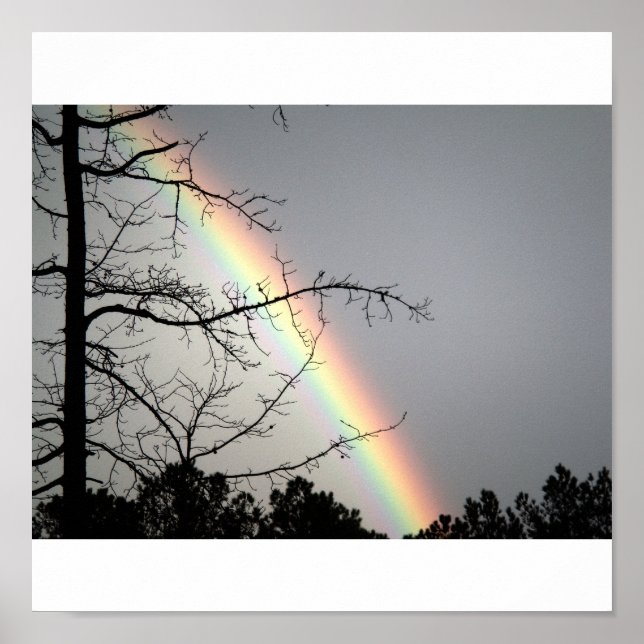 Affiches Poursuivre après Rainbows (Devant)