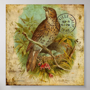 Affiches Poussée vintage
