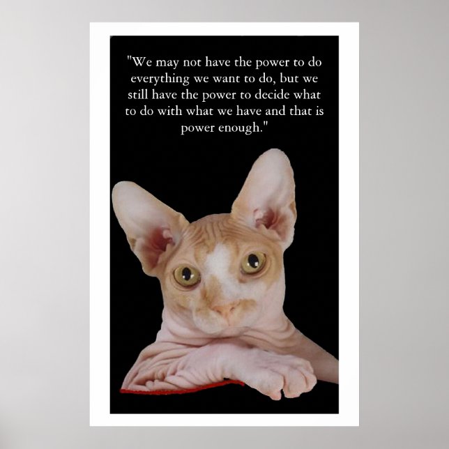 Affiches "Pouvoir de décider" (Devant)